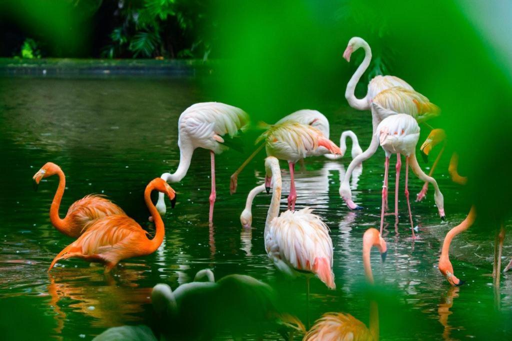 Lake Piedmont International Hotel Γκουανγκζού Εξωτερικό φωτογραφία